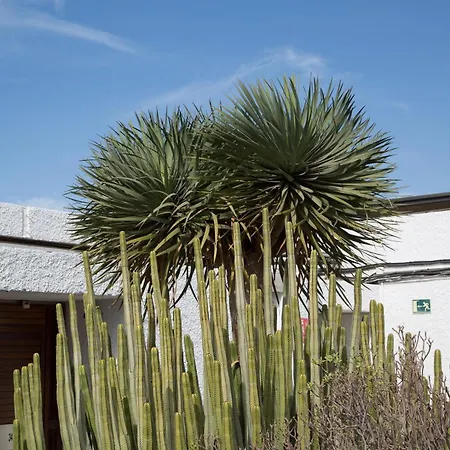 Vintersol لوس كريستيانوس