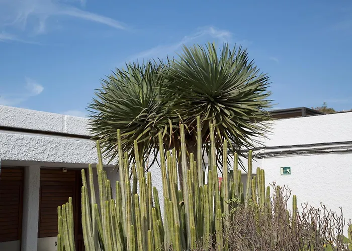 Vintersol لوس كريستيانوس